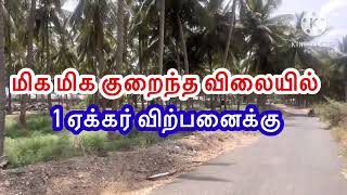 Land for sale in Coimbatore  Agriculture land for sale in Coimbatore  1acre murugeshrealestate [upl. by Slein]