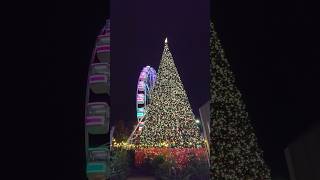 100 അടിയുള്ള ക്രിസ്മസ് ട്രീ കണ്ടിട്ടുണ്ടോ  Big Christmas tree [upl. by Ahsiekyt]