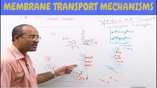 Cell Membrane Transport  Plasma Membrane Transport  Cell Biology🩸 [upl. by Verada]