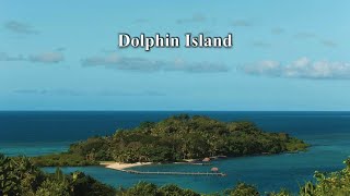 0120 Dolphin Island｜Private Island for Sale in Fiji [upl. by Ezarra]