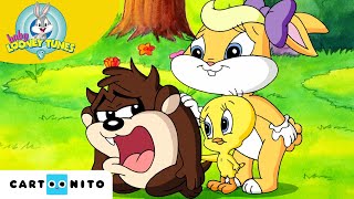 Les Joyeuses Pâques De Baby Looney Tunes  2e partie  Cartoonito  Dessin animé [upl. by Chemar]