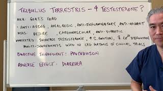 Tribulus Terrestris🐐🐐Increase Testosterone [upl. by Rramahs]