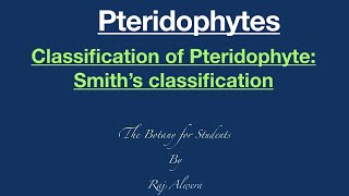 Pteridophytes Classification of Pteridophyte Smith’s Classification by Raj Alwera [upl. by Enicnarf]