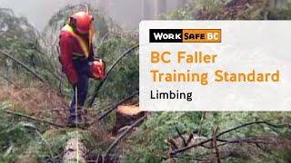 BC Faller Training Standard  Limbing 15 of 17 [upl. by Askwith]