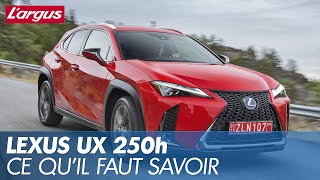 Essai Lexus UX 250h 2018 [upl. by Debby682]