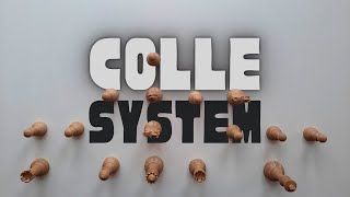 The Colle System  Plans Structures Patterns Variations · Chess Openings [upl. by Ahseek]