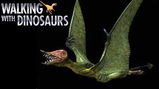 Walking With Dinosaurs 1999  Rhamphorhynchus Screen Time [upl. by Vetter]