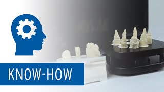 Multi Die Scan Tutorial mit Ceramill Map Scanner [upl. by Eelyac]