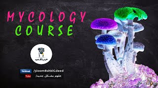 محاضرات كورس علم الفطريات Mycology  محاضرة 4  Classification of Fungi [upl. by Davies540]