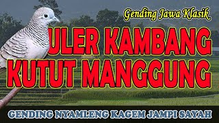 Gending Jawa Klasik Uler Kambang Kutut Manggung Nonstop 3 Jam  Uyon uyon Gending Kagem Jampi Sayah [upl. by Kobylak]