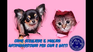 97  Come scegliere il miglior antiparassitario per cani e gatti [upl. by Jackson445]