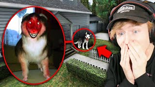 If You See EVIL SMILE DOG Outside Your House RUN AWAY FAST Garrys Mod Sandbox [upl. by Kaylee]