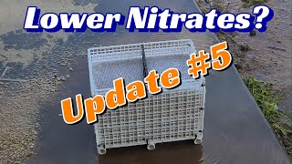 Does Anoxic Filtration Lower Nitrates Update 5 [upl. by Ayikal595]