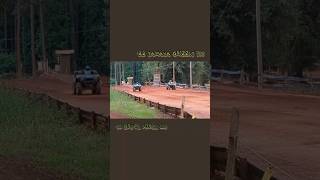 ATV Drag Race at Durhamtown Off Road Resort 06 Kawasaki Brute Force 650 Vs 22 Yamaha Grizzly 700 [upl. by Meg396]