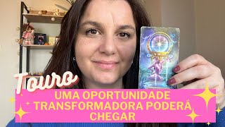 TOURO TAROT MOMENTO DE FAZER CONTATOS HÁ EXCELENTES NOVIDADES POR VIR VOCÊ MERECE [upl. by Aisat]