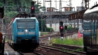 SBahnWerbelok quotFelsenbühne Rathenquot am RE50  Ankunft in Dresden Hbf mit Lichthupe [upl. by Werdnaed]