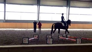 Ingrid Klimke clinic  advanced cavaletti [upl. by Nide]