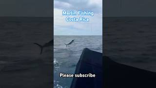 The Ultimate Marlin Fishing Adventure in Costa Rica guanacaste fishcostarica costaricafishing [upl. by Travis]