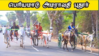 1பெரியமாடு அமராவதி புதூர் பந்தயம் 02052024 [upl. by Yup]