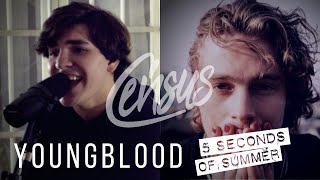 5 Seconds of Summer  quotYoungbloodquot Cover by Census [upl. by Nidnarb]