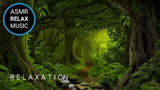 Quiet Time Music  4 Hour of Peaceful Relaxation amp Meditation  Fall Asleep Fast NO ADS [upl. by Eade249]