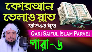 Holy Quran Recitation  Para 06  Qari Saiful Islam Parvej [upl. by Ssur]