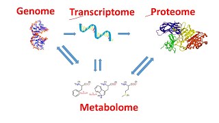 Genome Transcriptome Proteome Metabolome within 2 minutes  Genomics Transcriptomics Proteomics [upl. by Aicilehp456]