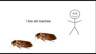 i live with roaches [upl. by Melan691]