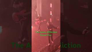 The Amity Affliction  Forest Fire Redux Live [upl. by Erasme138]