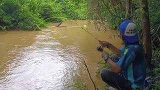 Mancing ikan baung di air yang keruh pakai umpan andalan [upl. by Edmond221]