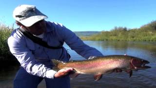 Weskamps Fishing Steamboats Yampa River [upl. by Benjy]