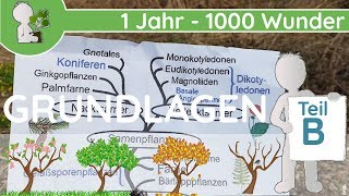 📚 1 Jahr  1000 Wunder  Grundlagen Teil B Pflanzen AufbauTeile  BotanikGrundlagenWissen [upl. by Immanuel]