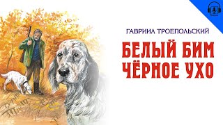 АУДИОКНИГА  Гавриил Троепольский  Белый Бим Черное Ухо [upl. by Eelirak453]