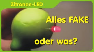 Ist eine ZitronenEinzelzelle für eine LED geeignet  Reaktion auf Fakevideo [upl. by Golding]