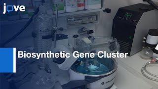 Biosynthetic Gene Cluster  Polyketomycin Demonstration  Protocol Preview [upl. by Marchese]