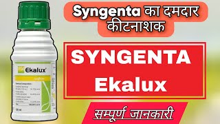 SYNGENTA EKALUX INSECTICIDEEKALUX INSECTICIDEQuinalphos 25 ecA2 FARMING ekalux [upl. by Bertero]