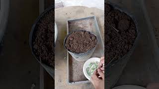 Mix soil for planting with Simple waygardenlifestyle enjoylife farming lifestyle [upl. by Notsle]