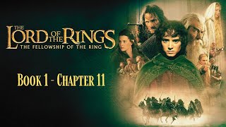 Lord Of The Rings Audiobook  Chapter 11 [upl. by Ahsetan]