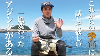 ジグヘッドだけじゃ釣れない魚を釣るために。秋から冬にかけて是非試してほしいアジングを紹介します。 [upl. by Ahscrop814]