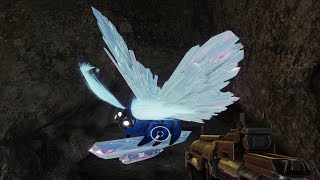 Reports of a unique Lucent Moth in the Florescent Canal  Lepidopterist  Destiny 2 [upl. by Riancho]