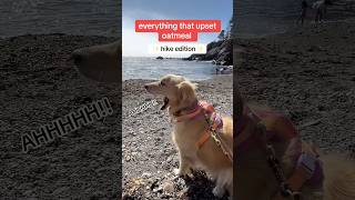 Hike Stillwater Cove in Jenner California dogadventure​⁠ hike sonomacountyregionalparks [upl. by Sikata]