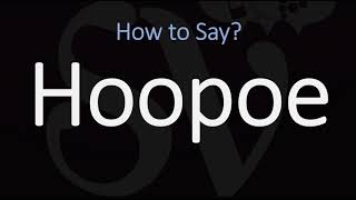 How to Pronounce Hoopoe 2 WAYS [upl. by Namad]