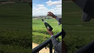 Opening champagne bottle with a glass [upl. by Zahara]