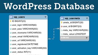 WordPress Database Tutorial Overview of MySQL Structure amp phpMyAdmin [upl. by Lyrrehs]