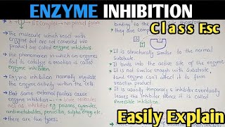 Enzyme Inhibition  Competitive And Non Competitive Inhibition  Class 11 Biology [upl. by Llenna]