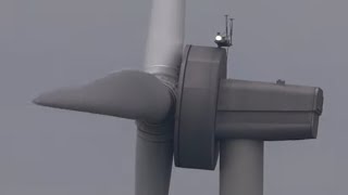 Wind test field Lelystad Netherlands Enercon Leitwind Lagerwey Siemens EWT Wind turbines [upl. by Torhert]