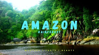 The Mighty Amazon Rainforest  Its beauty mystery and facts  Hindi [upl. by Annavas]