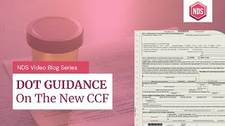 DOT Guidance 2020 Revised Custody and Control Form New 2020 CCF [upl. by Yenor146]