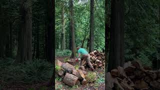 🧿Firewood splitting and stacking timelapse [upl. by Katz]