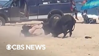 Woman attacked by bull on Mexico beach after ignoring warnings [upl. by Amikan]